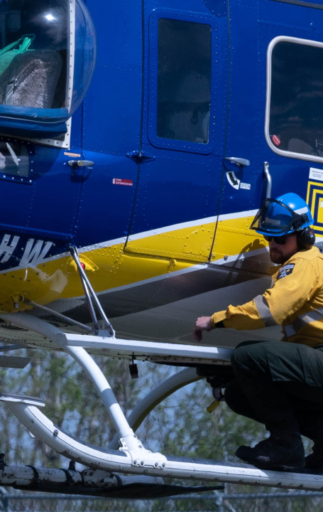 Forestry & WIldfire Fighting