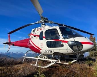 medevac services medevac services
