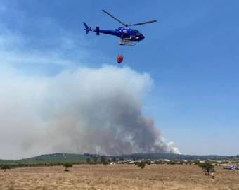 Your Trusted Forest Partner